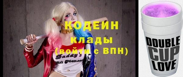 индика Алзамай