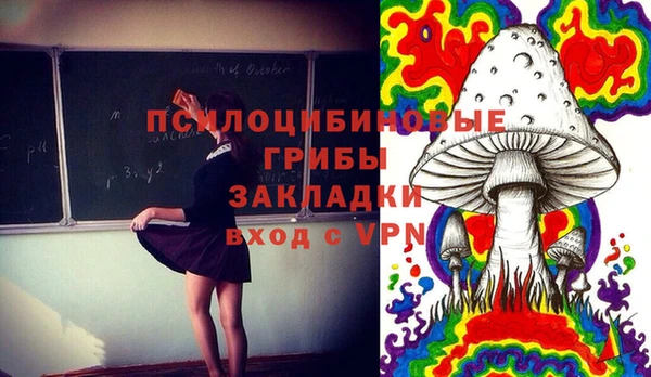 соль ск Алексеевка