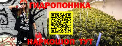 прущие грибы Ипатово